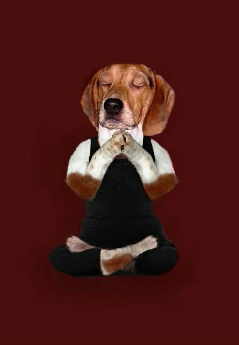 Self Reiki Self Reiki