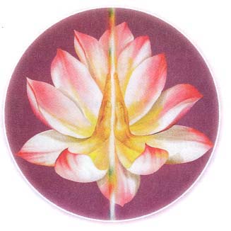 Reiki Attunements Reiki Attunements